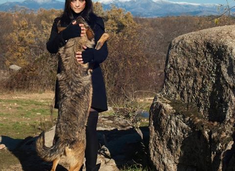 olivia_happyland_tumbe_godzilla