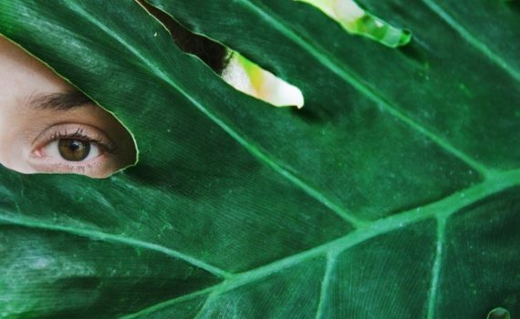 peninsular_via_lactea