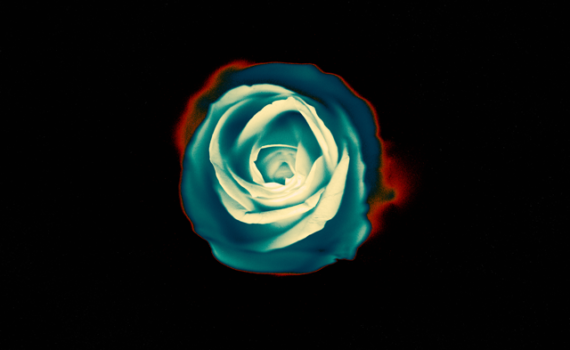 grey_daze_whats_in_the_eye