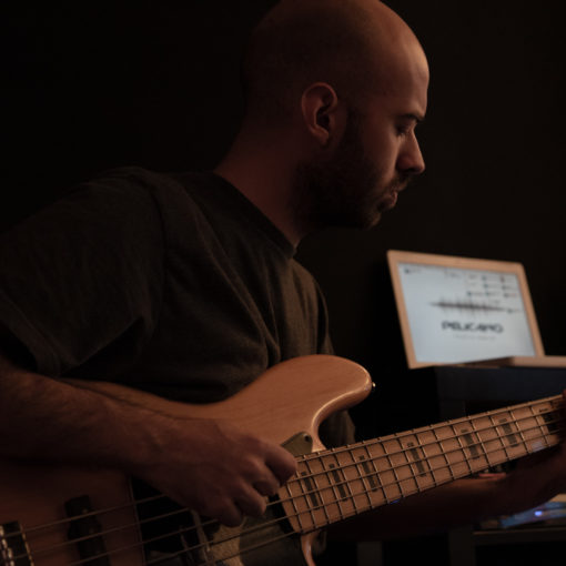 Cenit_pelicano_al_rey