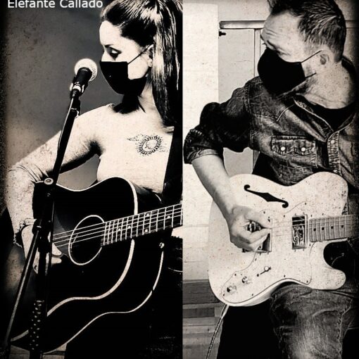 elefante_callado_el_grito_de_la_tierra