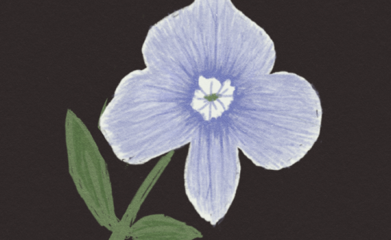 motel radio stress single cover