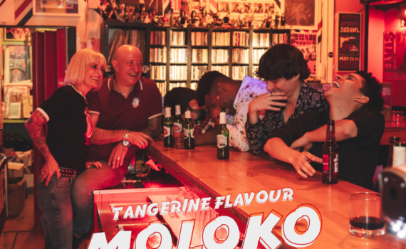 tangerine flavour moloko nights